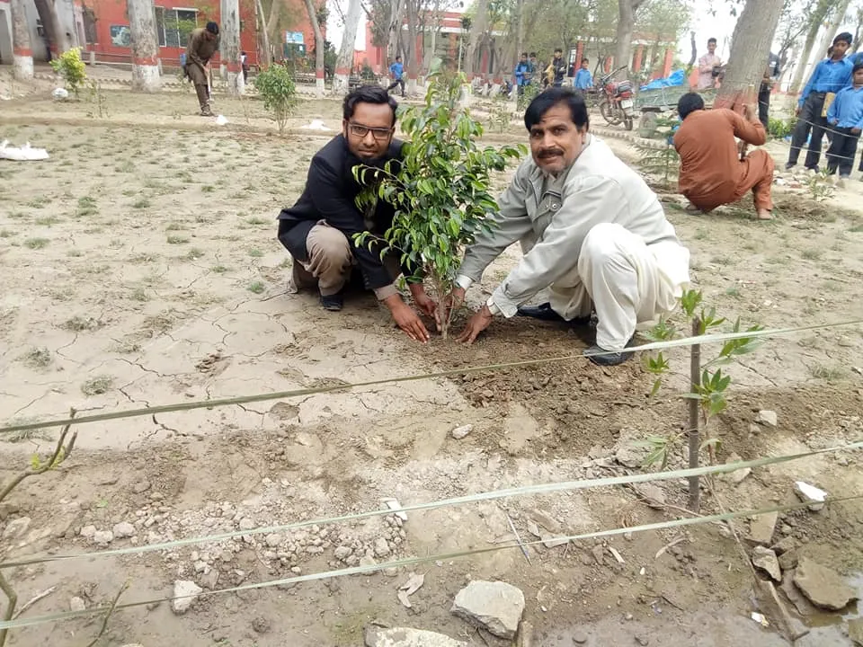 Green Seekers Activity